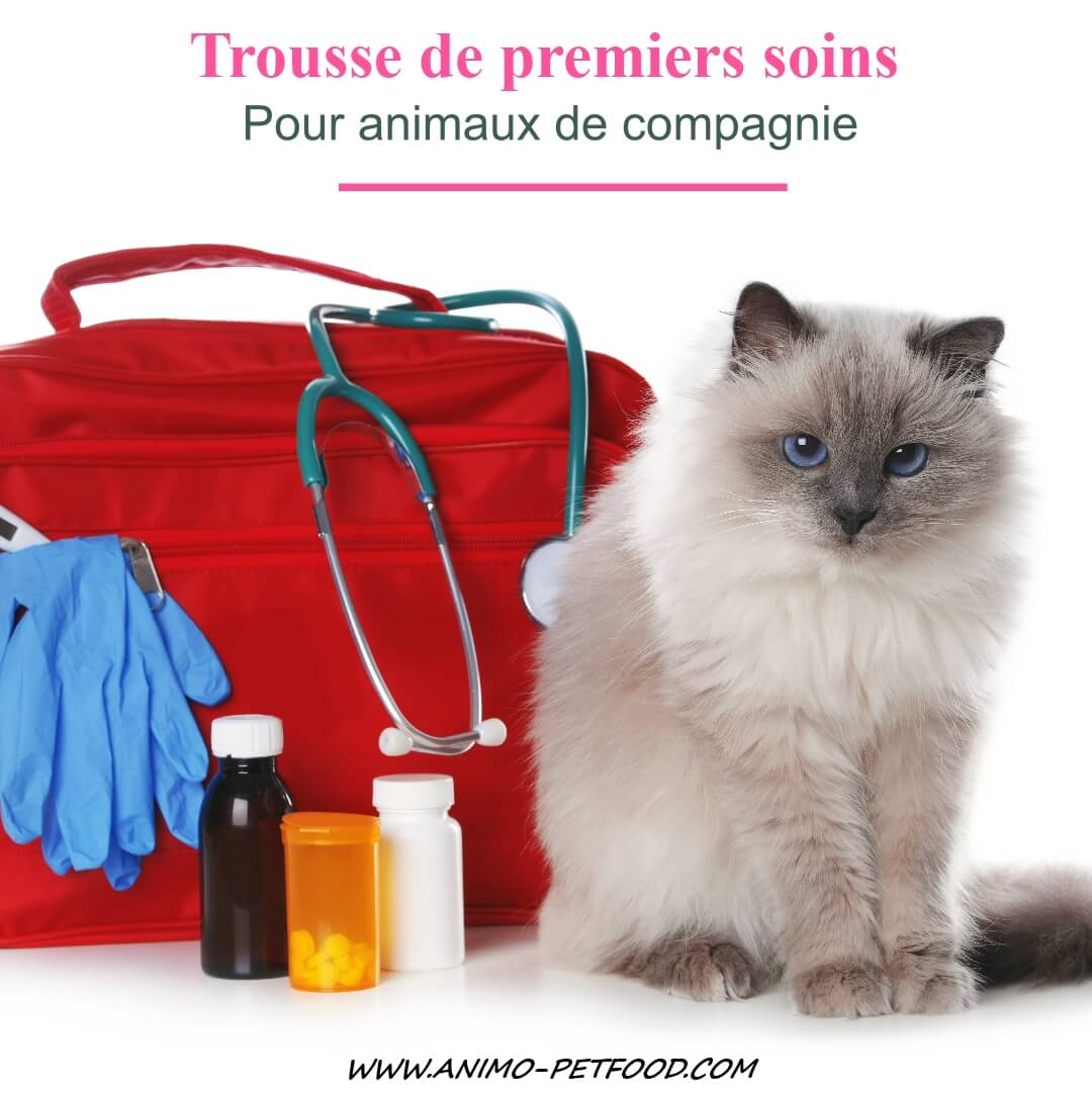 Trousse de premiers soins pour animaux de compagnie